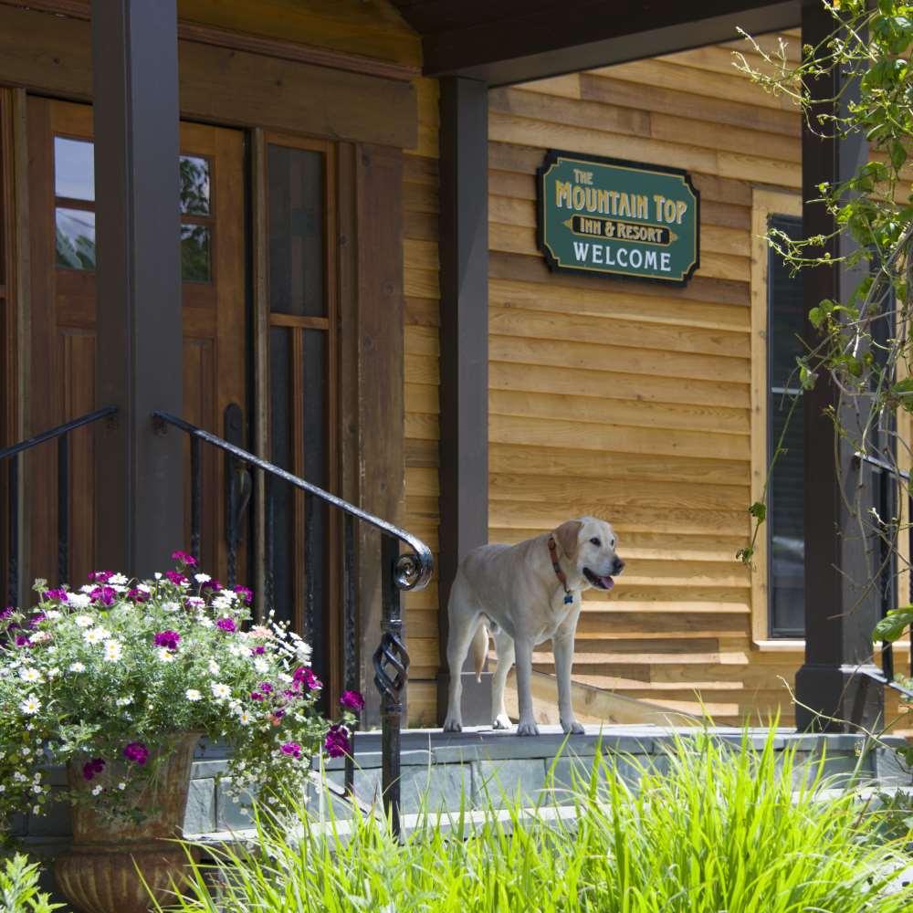 The Mountain Top Inn & Resort Chittenden Ανέσεις φωτογραφία